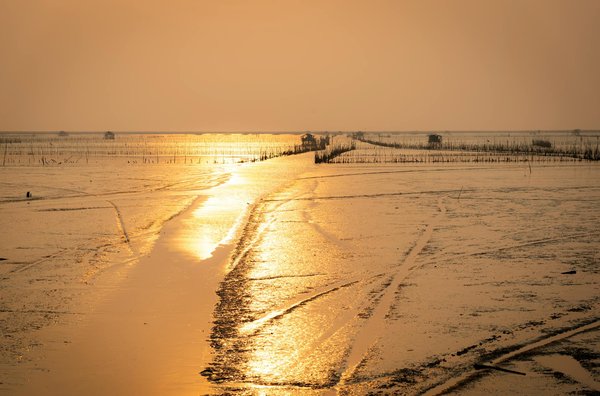 Comment découvrir les traditions de la culture basque en Espagne et en France ?
